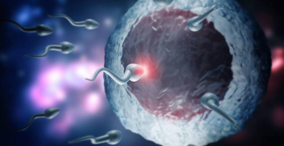 Niepłodność – przyczyny, diagnostyka i skuteczna dietoterapia